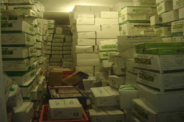 West Bengal Fishermen Cooperative Federation Ltd - BENFISH